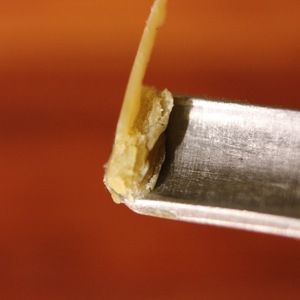 Meet your Posher, Stefan